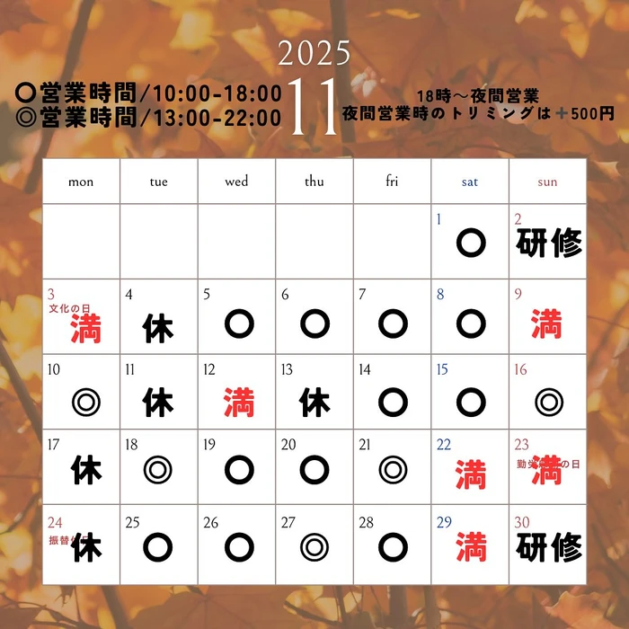 画像262