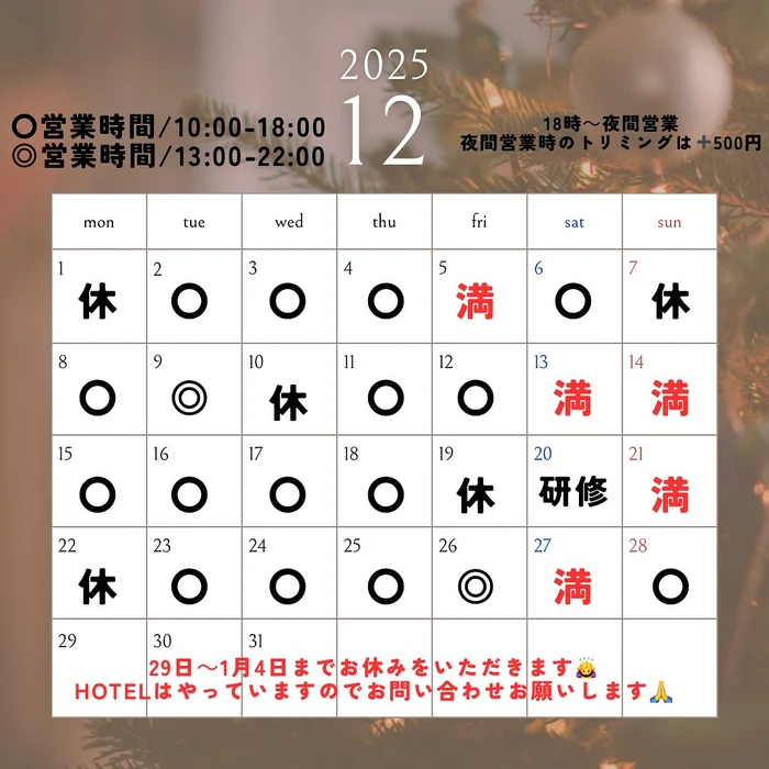 画像288