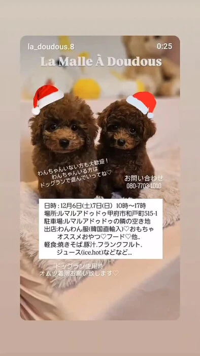 画像303