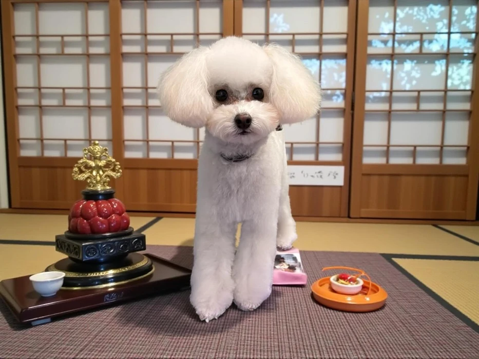 画像385