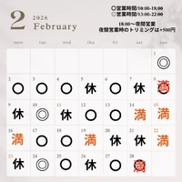 画像415