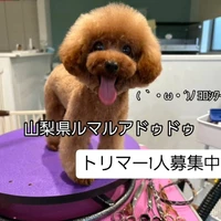 画像479