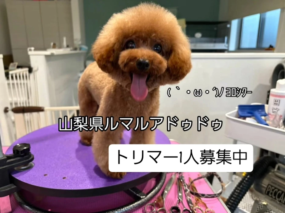 画像479