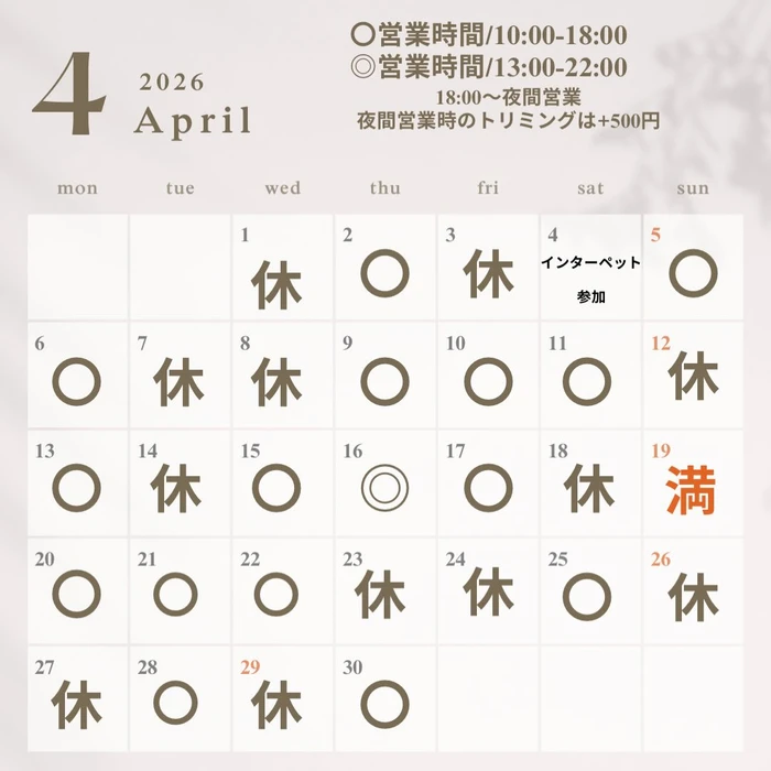 画像498