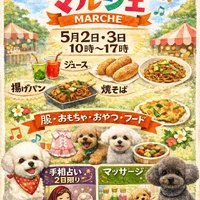 画像519