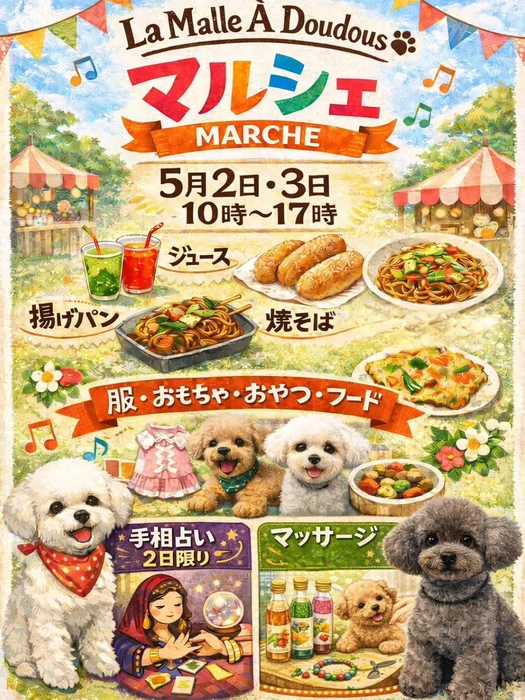 画像519