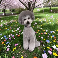 画像546